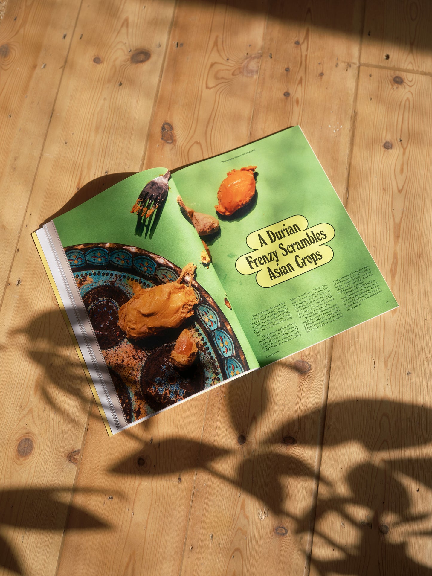 Cherry Bones - Issue 2